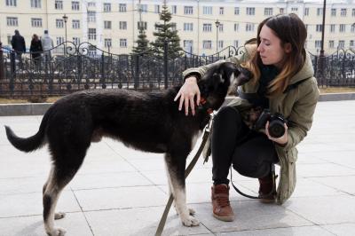 Отдам щенка в добрые руки Австралийская гончая - Россия, Екатеринбург. Цена 100 рублей