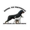 Питомник собак TAI FOKSTROTAS