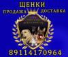 Питомник собак