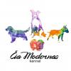 Питомник собак Cia Modernas kennel