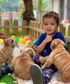 Питомник собак English bulldogs Home